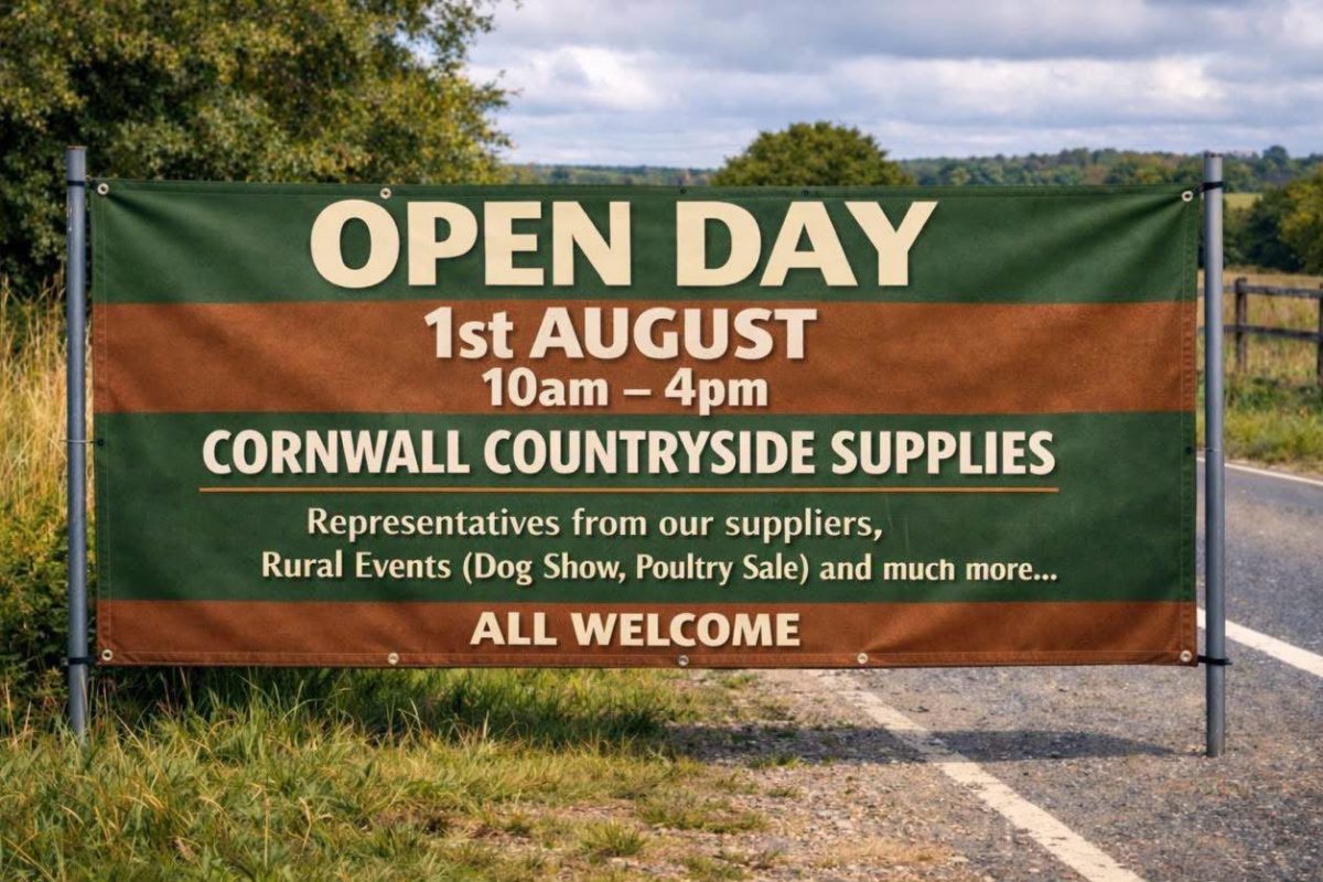 OpenDay2026